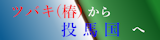 ツバキ（椿）から投馬国へ
